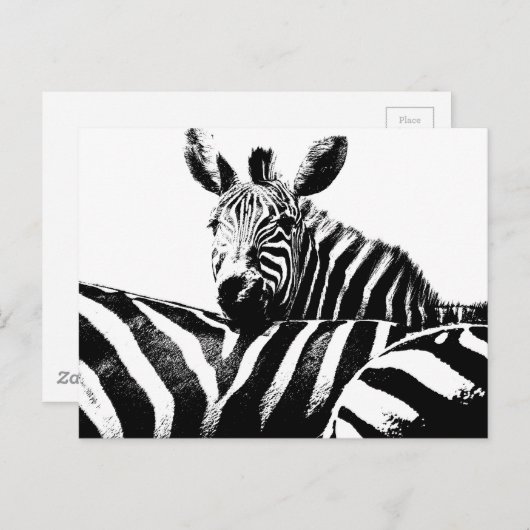 Modern Black & White Pop Art Afbeelding Zebras Briefkaart (Voorkant / Achterkant)