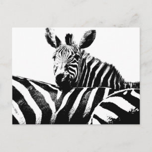 Modern Black & White Pop Art Afbeelding Zebras Briefkaart