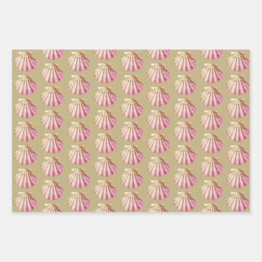 Modern  Blauw Beige Roze Schelpen Inpakpapier Vel (Voorkant 3)