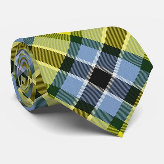 Modern Blauw & Geel Tartan Plaid Patroon Stropdas (Opgerold)