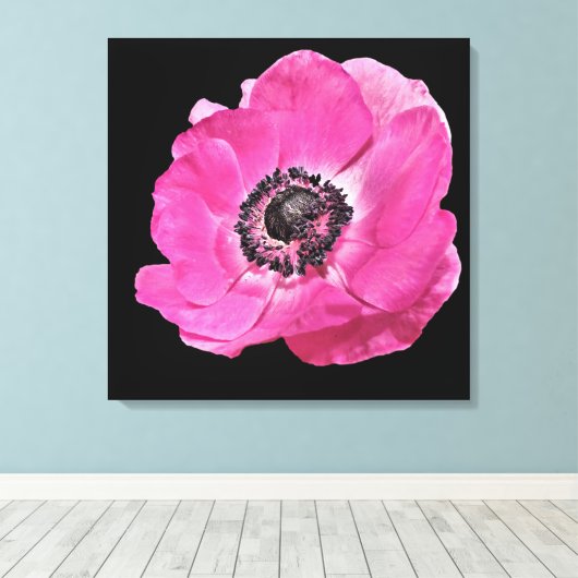 Modern Bloemen Levendig Helder Roze Poppy Zwart Canvas Afdruk (Insitu (Houten vloer))