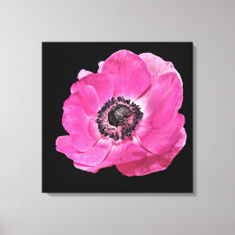 Modern Bloemen Levendig Helder Roze Poppy Zwart Canvas Afdruk