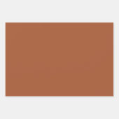 Modern Boho Dried Oranje Waterverf Inpakpapier Vel (Voorkant 2)