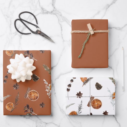 Modern Boho Dried Oranje Waterverf Inpakpapier Vel (Voorkant)