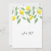 Modern Boho Lemon Summer Rehearsal Dinner Kaart (Achterkant)