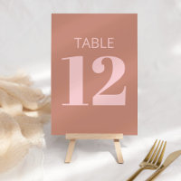 Modern Bold Typography Terracotta Pink Bat Mitzvah