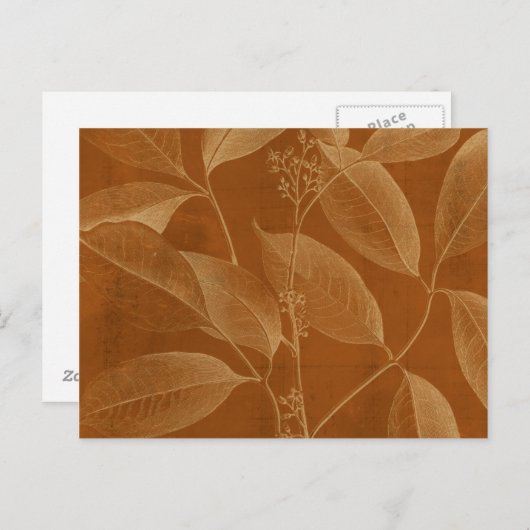 Modern Botany VI Briefkaart (Voorkant / Achterkant)