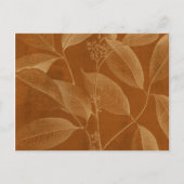 Modern Botany VI Briefkaart (Voorkant)