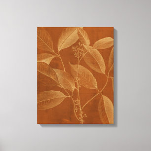 Modern Botany VI Canvas Afdruk