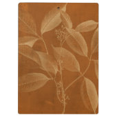 Modern Botany VI Klembord (Achterkant)