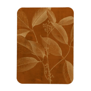 Modern Botany VI Magneet