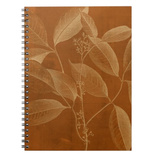 Modern Botany VI Notitieboek (Voorkant)