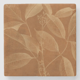 Modern Botany VI Stenen Onderzetter