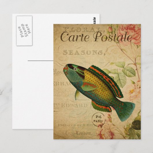 Modern  Briefkaart voor het inkorten van vis (Voorkant / Achterkant)