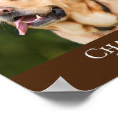 Modern Brown voegt foto's toe Poster (Hoek)