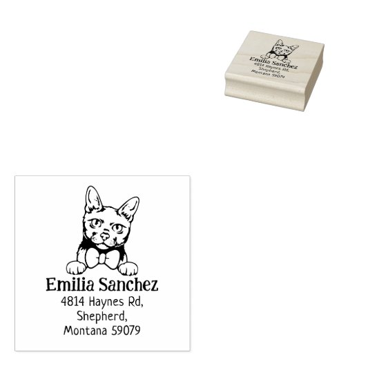 Modern Cat Return-adres Rubberstempel (Gestempeld)