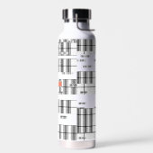 Modern Chic Plaid zwart en wit Waterfles (Links)