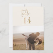 Modern chique  goud 5x7" foto tafel nummers (Voorkant)