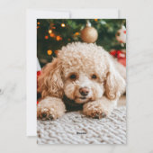 Modern Christmas 5 Photo Collage Rood Groen Script Feestdagenkaart (Achterkant)