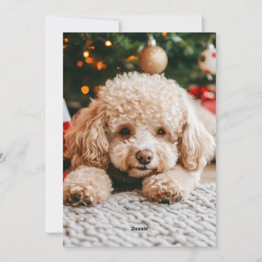 Modern Christmas 5 Photo Collage Rood Groen Script Feestdagenkaart (Achterkant)