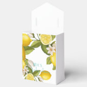 Modern citroen Baby shower Bedankdoosjes (Geopend)