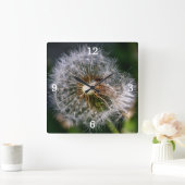 Modern Close Up Dandelion Photo Vierkante Klok (Huis)