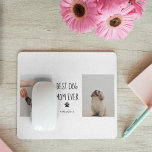 Modern Collage Foto Best Mam Dog Ever Muismat<br><div class="desc">Een moderne collage foto van "Best Mam Dog Ever" is een prachtig eerbetoon aan een geliefde huisdier die eindeloze liefde en vreugde aan haar familie heeft gegeven. Deze collage foto kan gemaakt worden met behulp van verschillende foto's van de hond gedurende haar hele leven. Ze toont haar speelse momenten, haar...</div>