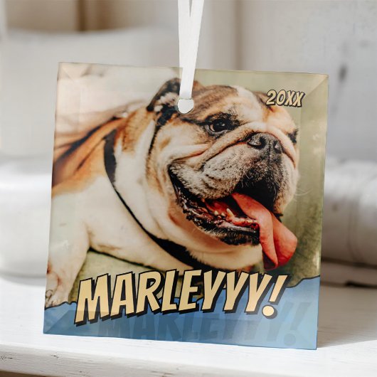 Modern Comic Simple Cool Custom Pet Foto Glas Ornament