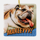 Modern Comic Simple Cool Custom Pet Foto Keramisch Ornament (Voorkant)