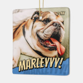 Modern Comic Simple Cool Custom Pet Foto Keramisch Ornament (Links)