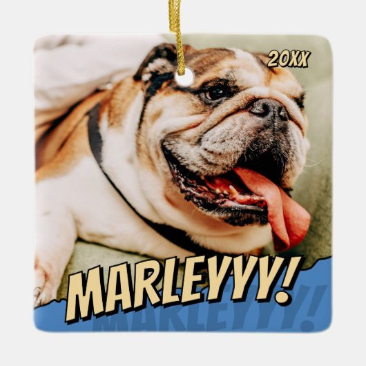 Modern Comic Simple Cool Custom Pet Foto Keramisch Ornament (Voorkant)