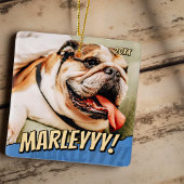 Modern Comic Simple Cool Custom Pet Foto Keramisch Ornament