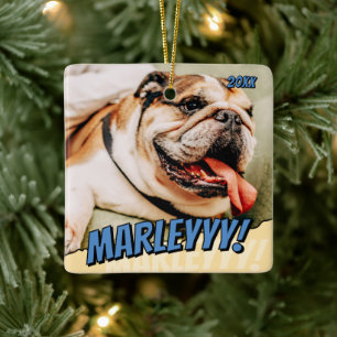 Modern Comic Simple Cool Custom Pet Foto Keramisch Ornament