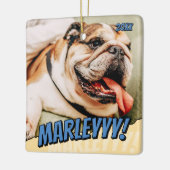Modern Comic Simple Cool Custom Pet Foto Keramisch Ornament (Links)