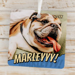 Modern Comic Simple Cool Custom Pet Foto Metalen Ornament<br><div class="desc">Dit eenvoudige en klassieke ontwerp is samengesteld uit serif typografie en voegt een douanefoto van uw huisdier toe.</div>