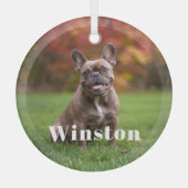 Modern Custom Pet Name Photo Holiday Glas Ornament (Voorkant)