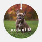 Modern Custom Pet Name Photo Holiday Glas Ornament (Achterkant)
