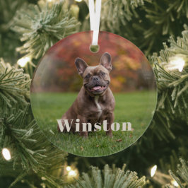 Modern Custom Pet Name Photo Holiday Glas Ornament