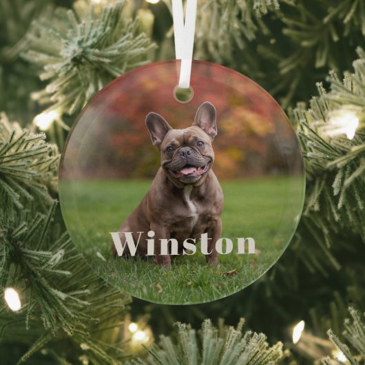 Modern Custom Pet Name Photo Holiday Glas Ornament (Insitu)
