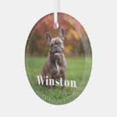 Modern Custom Pet Name Photo Holiday Glas Ornament (Voorkant links)