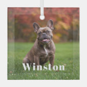 Modern Custom Pet Name Photo Holiday Glas Ornament (Voorkant)