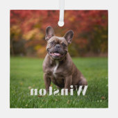 Modern Custom Pet Name Photo Holiday Glas Ornament (Achterkant)