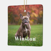 Modern Custom Pet Name Photo Holiday Keramisch Ornament (Links)