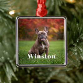 Modern Custom Pet Name Photo Holiday Metalen Ornament