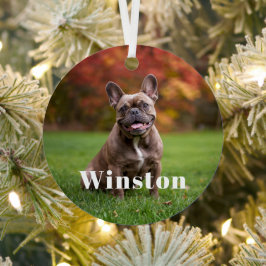 Modern Custom Pet Name Photo Holiday Metalen Ornament