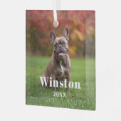 Modern Custom Pet Name Year Photo Holiday Glas Ornament (Voorkant links)