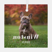 Modern Custom Pet Name Year Photo Holiday Glas Ornament (Achterkant)
