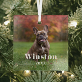Modern Custom Pet Name Year Photo Holiday Glas Ornament