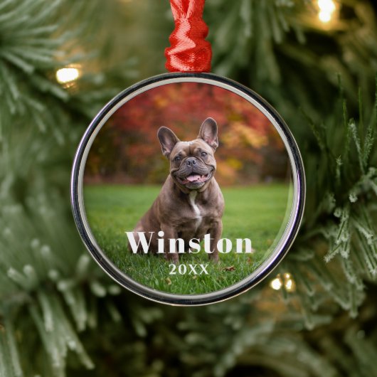 Modern Custom Pet Name Year Photo Holiday Metalen Ornament (Boom)