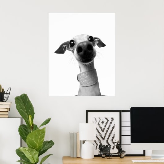 Modern Custom Pet Photo | Meeko Large Poster (Thuiskantoor)
